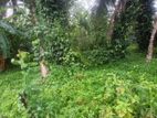 Valuable Land for Sale in Hokandara