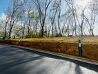Valuable Land for Sale in Homagama Berukatiya