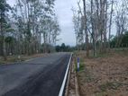 Valuable Land for sale in Homagama Berukatiya