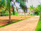 Valuable Land For Sale In Homagama- Diyagama