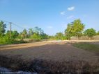 valuable Land for sale in Homagama Diyagama