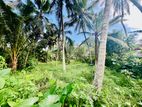 Valuable Land for Sale in Homagama