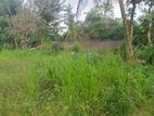 Valuable Land for sale in Homagama