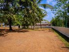 Valuable Land for Sale in Homagama
