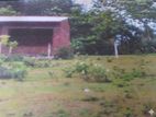 Valuable Land for Sale in Homagama Pitipana
