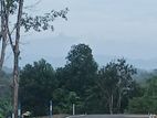 Valuable Land for Sale in Homagama Thalagala