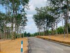 Valuable Land for sale in Homagama Thalagala