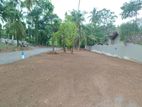 Valuable Land for sale in Homagama town area