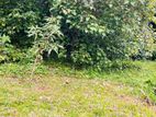 Valuable Land For Sale in Horana City Limits