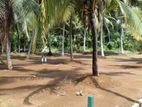 Valuable Land for Sale in Horana