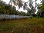 Valuable Land for Sale in Horana