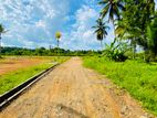 valuable land for sale in horana