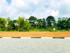 Valuable Land for Sale in Horana