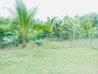Valuable Land for Sale in Horana – Raigama