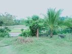 Valuable Land for Sale in Horana – Raigama