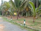 Valuable Land for Sale in Horana with 11.55p block