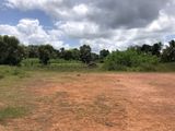 Valuable Land for Sale in Hunupitiya, Wattala