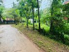 Valuable Land for Sale in Imbulgoda Gampaha