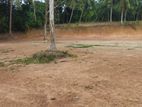 Valuable Land for Sale in Ja Ela