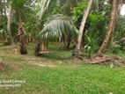 valuable Land for sale in Ja Ela Lake City