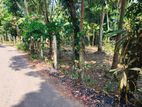 Valuable Land for Sale in Jaela