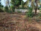 Valuable Land for Sale in Jaffna