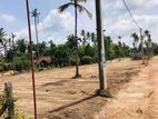 Valuable Land for Sale in Kadawala 12.50p