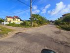 Valuable Land for Sale in Kadirana Thibirigaskatuwa