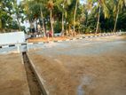 Valuable land for sale in kalagedihena