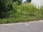Valuable Land for Sale in Kalalgoda
