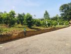 Valuable land for sale in Kalutara Alwiswatta