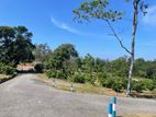 Valuable land for sale in Kalutara Palathota road