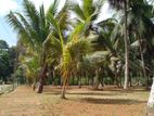 Valuable Land for Sale in kalutara with 10p block