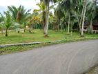 Valuable Land for Sale in kalutara with 11.55p