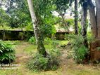 valuable Land for sale in Kandana Batagama Road Dolahana
