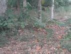 valuable Land for sale in Kandana Batagama Road