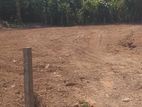 valuable Land for sale in Kandana Dolahana