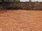 Valuable Land for Sale in Kandana