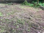 valuable Land for sale in Kandana