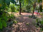 valuable Land for sale in Kandana Halpa Lane