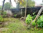 valuable Land for sale in Kandana Nagoda