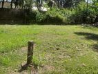 Valuable Land for Sale in Kandana Rilaulla