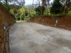 Valuable Land For Sale In Kandy Abathanna