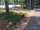 Valuable Land for Sale in Kandy Sinharagama