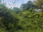 Valuable Land for Sale in Katunayake