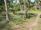 Valuable Land for Sale in Katunayake - Muthuwadiya