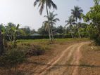 Valuable Land for Sale in Katunayake, Negombo