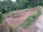 Valuable Land for Sale in Kegalle