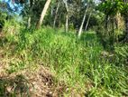 Valuable Land for Sale in Kegalle