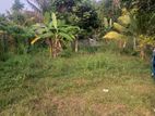 Valuable Land for Sale in Kesbewa